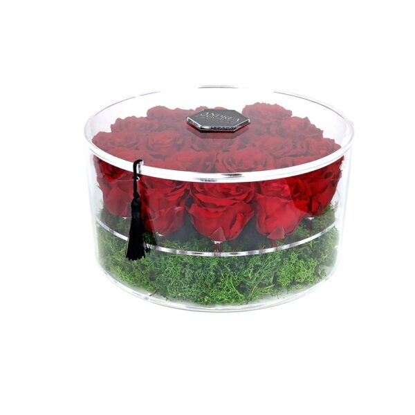 Garden of Roses #CIRCLE19