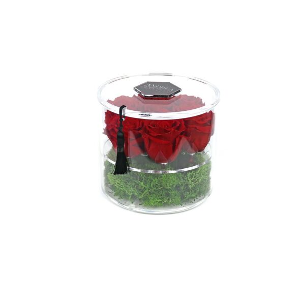 Garden of Roses #CIRCLE7