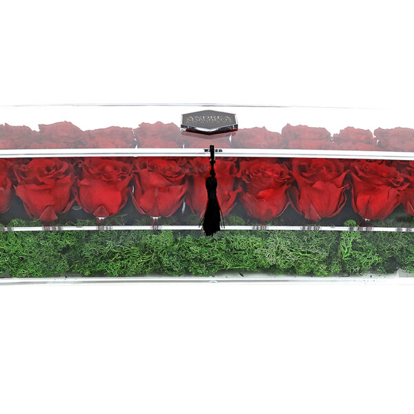 Garden of Roses #RECTANGLE33