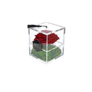 Garden of Roses #SQUARE-1