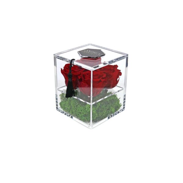 Garden of Roses #SQUARE-4